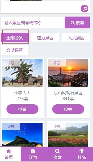 投票评选分类