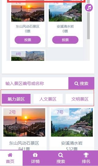 投票评选分类